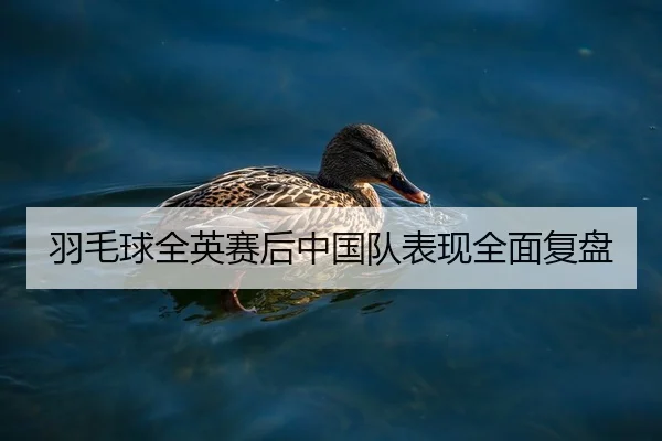 羽毛球全英赛后中国队表现全面复盘